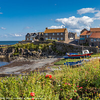Buy canvas prints of Craster by Tom Holmes