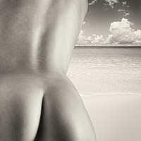Buy canvas prints of Nudist Beach by Ann Spells