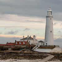 Buy canvas prints of St. Mary's Island and Lighthouse by Graham Dobson