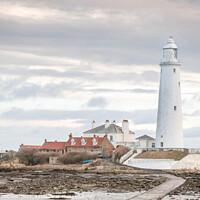Buy canvas prints of St Mary's Island and Lighthouse by Graham Dobson