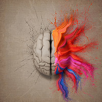 Buy canvas prints of The Creative Brain by Johan Swanepoel
