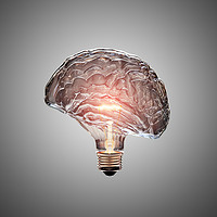 Buy canvas prints of Light Bulb Brain by Johan Swanepoel