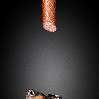 Buy canvas prints of Dachshund looking up at salami by Johan Swanepoel