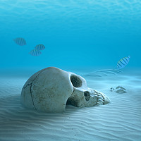 Buy canvas prints of Human Skull on sandy ocean bottom by Johan Swanepoel