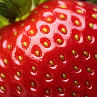 Buy canvas prints of Fresh strawberry close-up by Johan Swanepoel