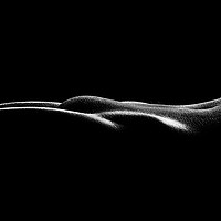 Buy canvas prints of Nude woman bodyscape 37 by Johan Swanepoel
