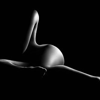 Buy canvas prints of Nude woman bodyscape 40 by Johan Swanepoel