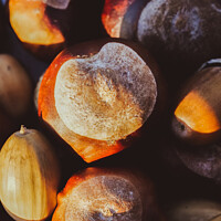 Buy canvas prints of Bunch of chestnuts  by Ciaran Craig