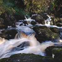 Buy canvas prints of Ness Woods River  by Ciaran Craig