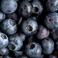 Buy canvas prints of Blueberries  by Ciaran Craig