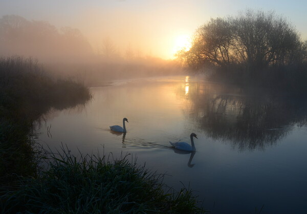 The Dorset Stour Picture Board by David Neighbour