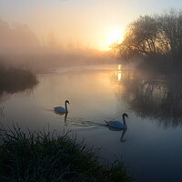 Buy canvas prints of The Dorset Stour by David Neighbour