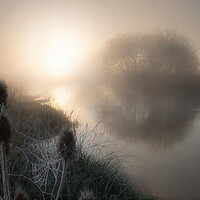 Buy canvas prints of Spring Frost on the Dorset Stour by David Neighbour