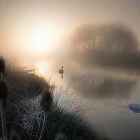 Buy canvas prints of Magical Morning on the Dorset Stour by David Neighbour