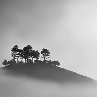 Buy canvas prints of Colmer's Hill B&W by David Neighbour