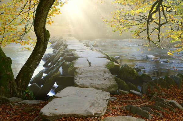 Tarr Steps Sunbeams Picture Board by David Neighbour