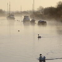 Buy canvas prints of Tranquility at the Quay by David Neighbour
