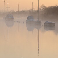 Buy canvas prints of Quay Dawn by David Neighbour