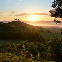 Buy canvas prints of Summer at Colmer's Hill by David Neighbour