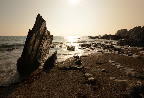 Ayrmer Cove Picture Board by David Neighbour