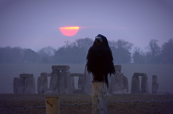 Stonehenge Sunrise Picture Board by David Neighbour