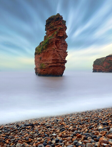 Ladram Sea Stack  Picture Board by David Neighbour