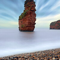 Buy canvas prints of Ladram Sea Stack  by David Neighbour