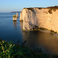Buy canvas prints of Morning at Old Harry Rocks by David Neighbour