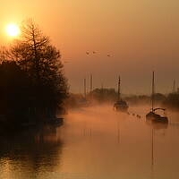 Buy canvas prints of Wareham Quay Intense Sunrise by David Neighbour