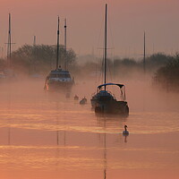 Buy canvas prints of Drifting Along by David Neighbour