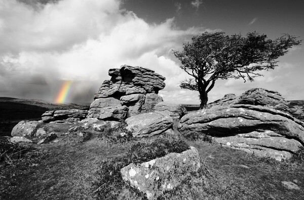 Tor, Tree and Rainbow Picture Board by David Neighbour