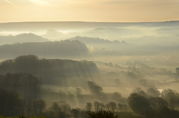 A Dorset Spring Morning Picture Board by David Neighbour