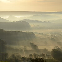 Buy canvas prints of A Dorset Spring Morning by David Neighbour