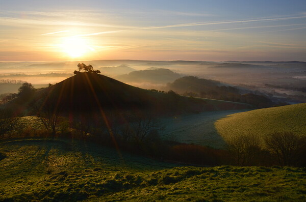 Dewy Morning at Colmer's Hill Picture Board by David Neighbour