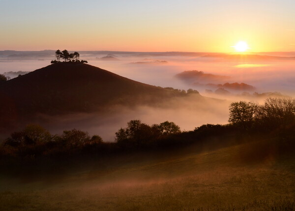Colmer's Hill Sunrise Picture Board by David Neighbour