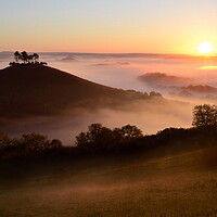 Buy canvas prints of Colmer's Hill Sunrise by David Neighbour