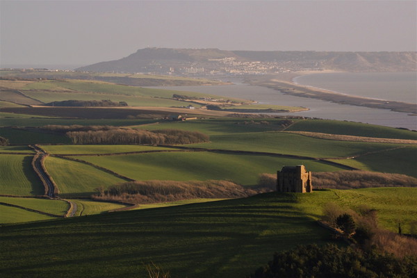 St. Catherine's Chapel, Abbotsbury, Dorset. Picture Board by David Neighbour
