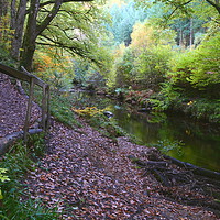 Buy canvas prints of Autumn on the Teign by David Neighbour