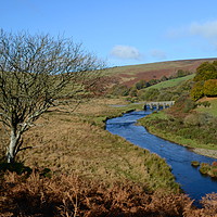 Buy canvas prints of River Barle by David Neighbour