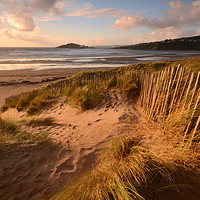 Buy canvas prints of Bantham Beachgrass by David Neighbour