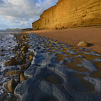 Buy canvas prints of Golden cliff reflections by David Neighbour