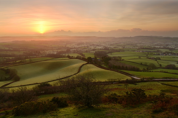 Marshwood Vale Sunrise Picture Board by David Neighbour