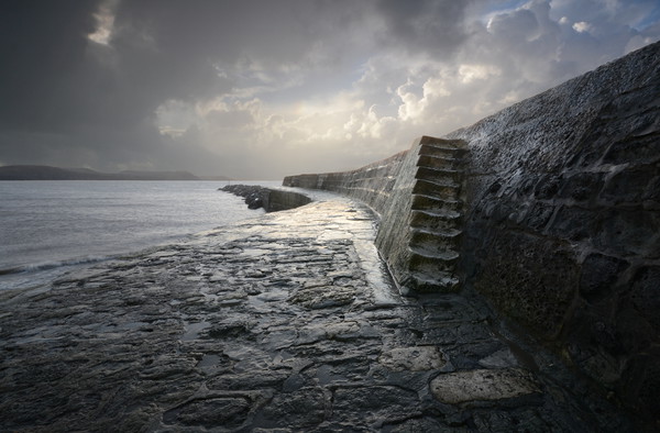 The Cobb, Lyme Regis Picture Board by David Neighbour