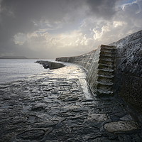 Buy canvas prints of The Cobb, Lyme Regis by David Neighbour