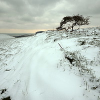 Buy canvas prints of Quarry Hill Snowscape by David Neighbour