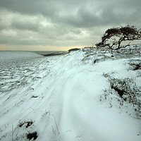Buy canvas prints of A Bleak Mid Winter by David Neighbour