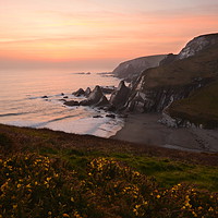Buy canvas prints of Westcombe Bay, Clifftop View. by David Neighbour