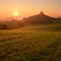 Buy canvas prints of Dewy Morning at Colmer's Hill by David Neighbour