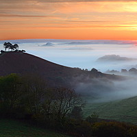 Buy canvas prints of Colmer's Hill Mist by David Neighbour