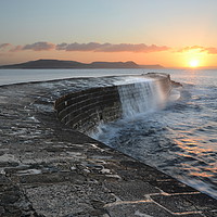 Buy canvas prints of Classic Cobb by David Neighbour